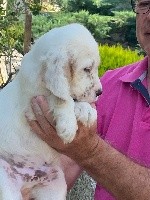 CHIOT